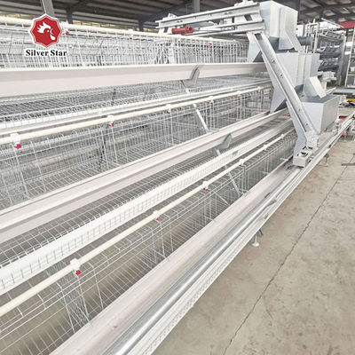 Hot-Dip Galvanized H-Type Layer Cage System Fully Automatic Poultry Farming Equipment with 15–20 Year Lifespan