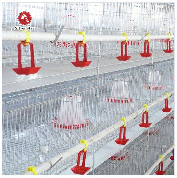 Sistema di gabbia a batteria per pollame di tipo A galvanizzato a caldo