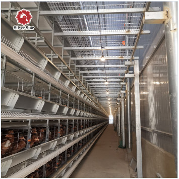 H Type Battery Chicken Farming Cage Chicken Farming Cage Automatic