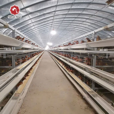Gabbia a strato commerciale H-Type da un fornitore e produttore affidabile. Consegna sicura e carico in container.
