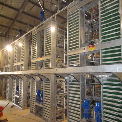 Sistema di gabbia a batteria per polli di pollo di tipo H completamente automatico con telaio galvanizzato a caldo per allevamenti commerciali di polli di carne ad alta densità