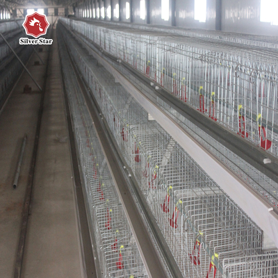 Baby Chick Cage With Full Automatic System For Farm