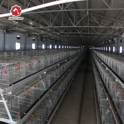 110 Days Baby Chick Brooder Cage Fully Automatic H Type